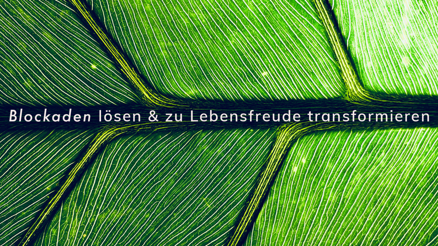 Praxis Giel in Bamberg - Blockaden lösen und zu Lebensfreude transformieren