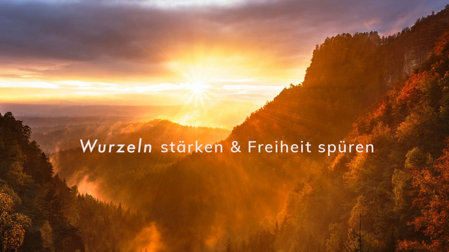 Praxis Giel in Bamberg - Wurzeln stärken und Freiheit spüren